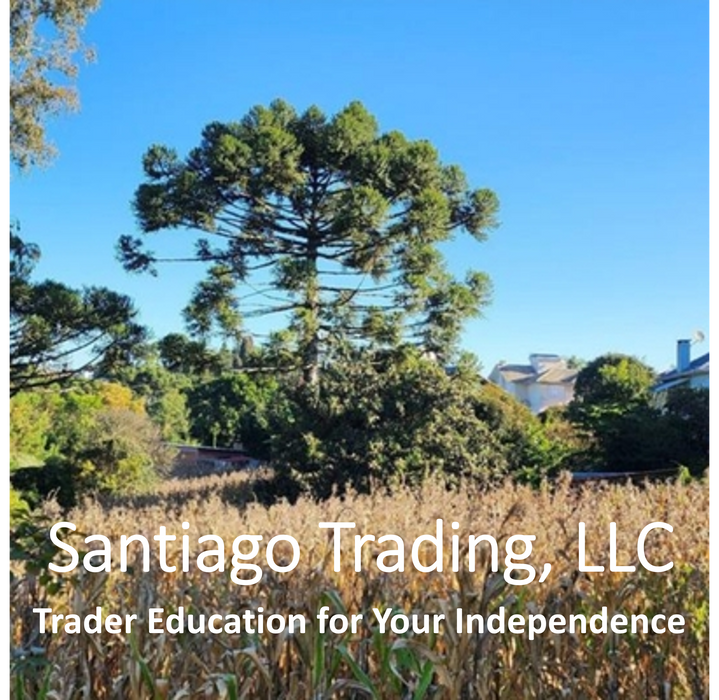 Santiago Trading Long-Term Investing Strategy